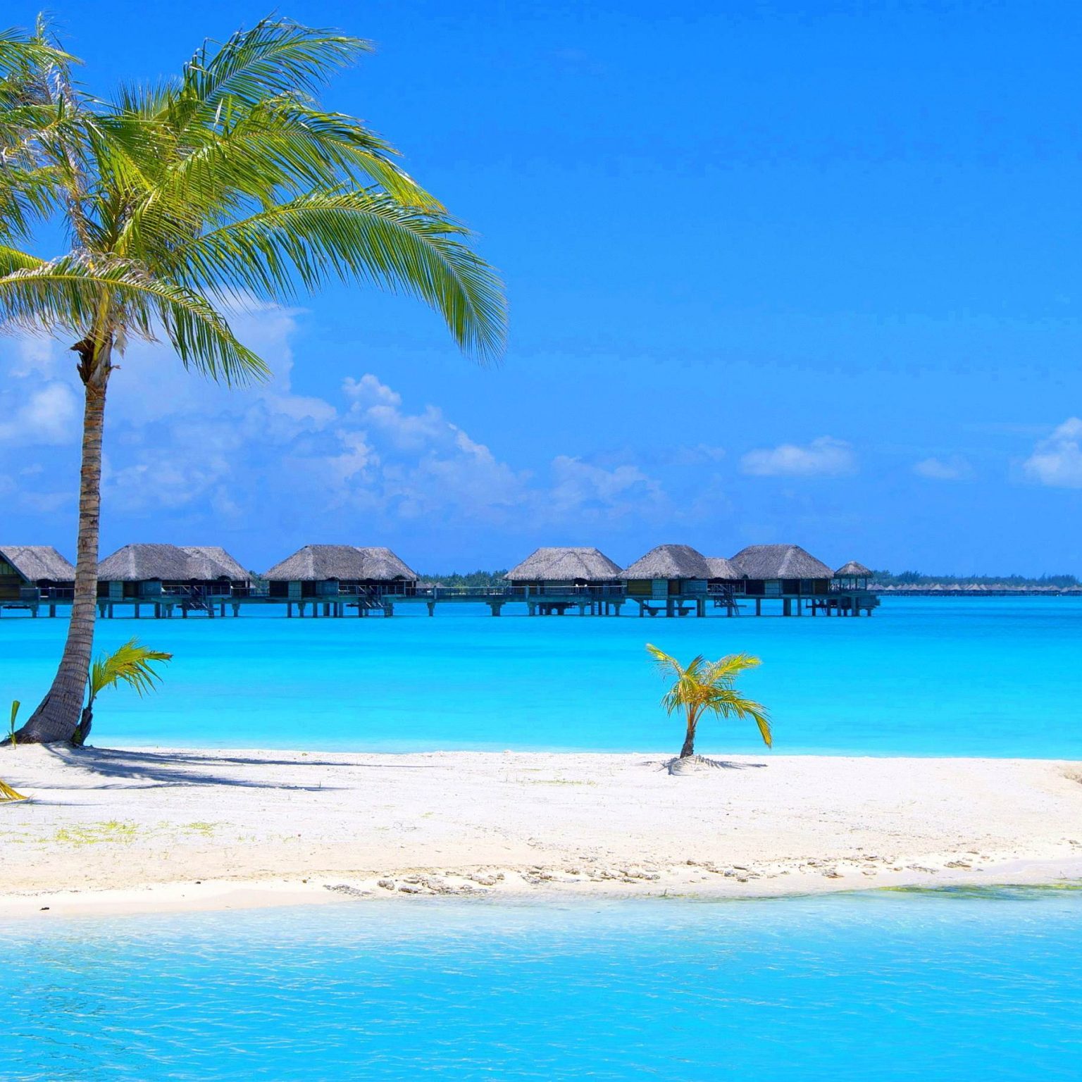 Aruba main Image